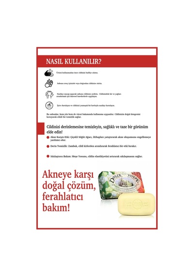 Nesti Dante Sabun Dolce Vivere Milano Vegan Bakım 250 G
