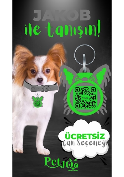 Petjoo 8.Jakob Yeşil-Gri Qr'lı Köpek Künyesi