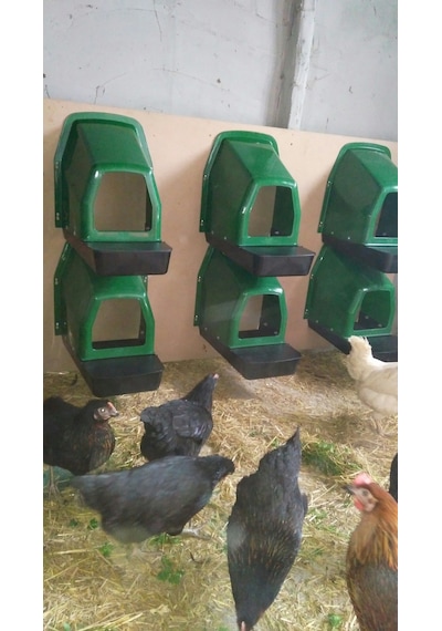 Plastik Otomatik Tavuk Folluk Yeşil