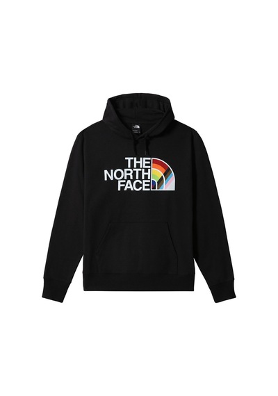 The North Face M Pullover Hoodie Erkek Outdoor Sweatshirts NF0A7QCKJK31 Siyah