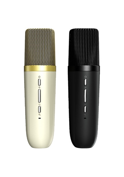 HiFuture Vocalist 100 Kablosuz Bluetooth 5.0 25W RGB TWS Mikrofonlu Karaoke Hoparlör