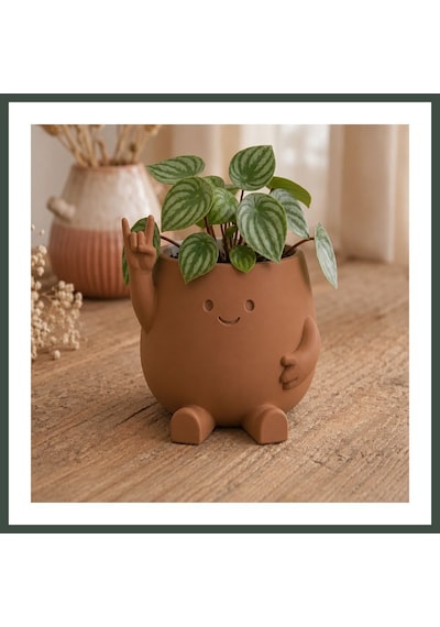 Bezos 3d Baskı Smiley Face Planter - Gülümseyen Karakterli Saksı-kahverengi Nhr Standart