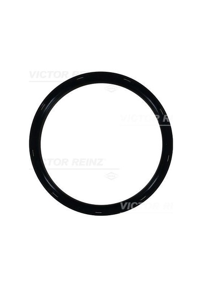 REINZ 81-10448-0 Keçe Krank B-38/48 Arka