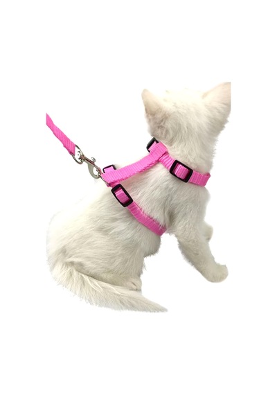 Thentech Kedi Sırt Tasması Kancalı Sağlam Kedi Tasması Göğüs Tasması Park Gezileri İçin Tasma