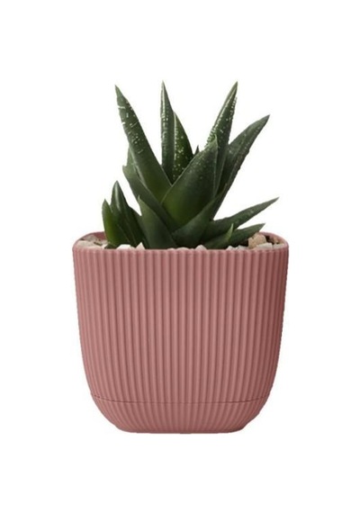 Omnipazar Krs-384 Dekoratif Plastik Mercan Kare Saksı 4 Litre No 4 Soft Pembe