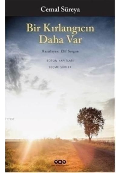 Bir Kırlangıcın Daha Var
