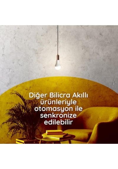Renkli Işık Seçenekleri İle Uzaktan Kontrol Edilebilen Led Ampul Açık Kahverengi