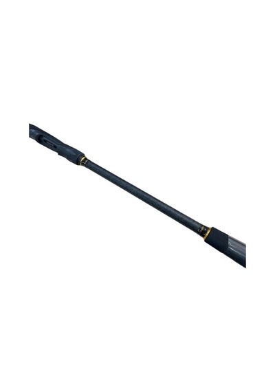 İki Parça Spin Olta Kamışı - Daiwa Rx Lure Game Bf - 234 Cm 2/8 Gr