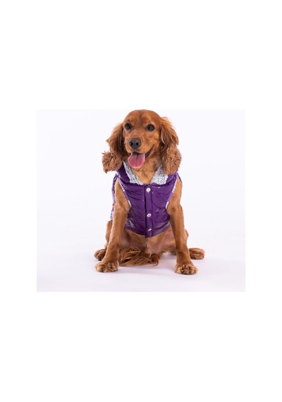 Pawstar Mor Light Wave Anorak Yelek Köpek Yeleği