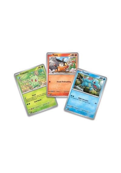 Pokemon Tcg Mega Evolution Ascended Heroes First Partners Deluxe Pin Collection