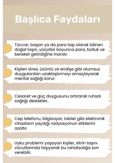 Premium Aslan Burcu Enerjisini Yükselten Doğal Taş Bileklik Aslan Burçları Burç Unisex Bileklik Çok Renkli