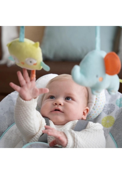 Ingenuity Swing & Go Taşınabilir Salıncak