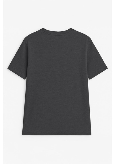 Markapia Erkek %100 Pamuk Bisiklet Yaka Yazı Baskılı T-shirt Çok Renkli S