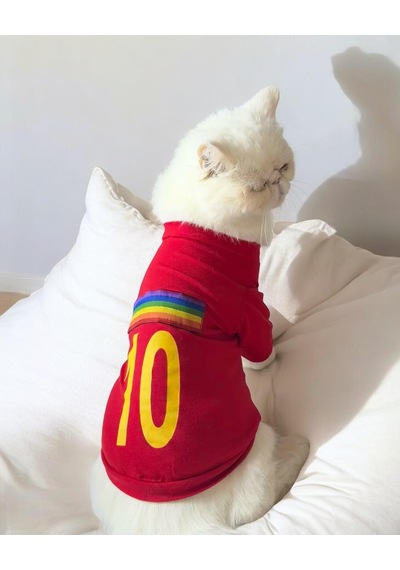 Kemique Uno Red Kedi Tişört