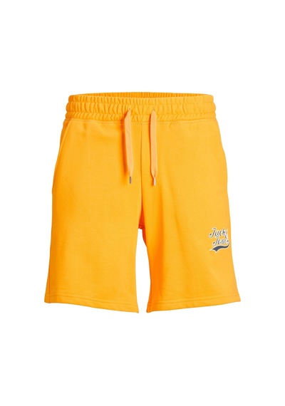 Jack & Jones Erkek Günlük Sweat Penye Spor Şort Shorts - 12228758 001