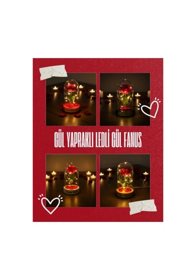 Gül Yapraklı Ledli Gül Fanus Çok Renkli