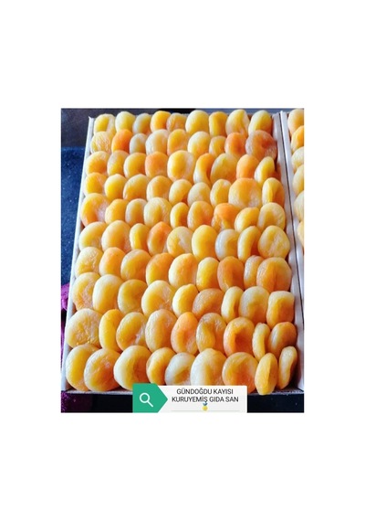 Sarı Kayısı 1 Numara 1000gr Diğer