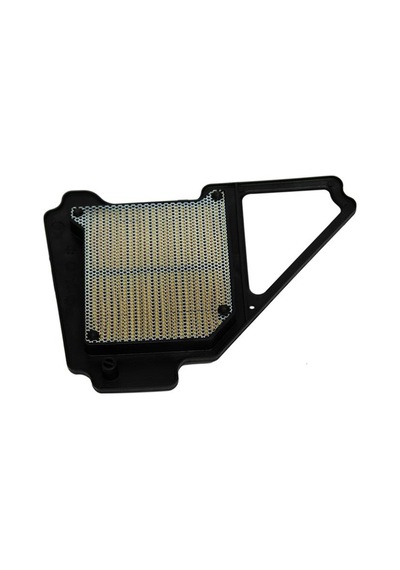 YAMAHA YBR UYUMLU HAVA FİLTRE ELEMANI 2006 DELTA
