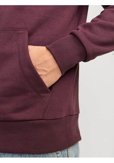 Jack & Jones Erkek Sweatshirt Bordo 12256521 Jjecaleb Varsıty Hood Noos 25kw21000440 W212205 Bordo