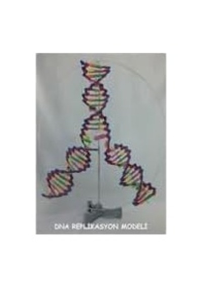 Tr Deney Setı Dna