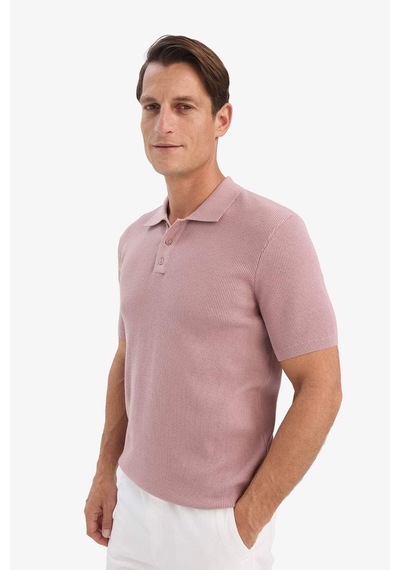 DeFacto %100 Pamuk Standart Fit Polo Yaka Kısa Kollu Triko Tişört E5866AX25SPPR347