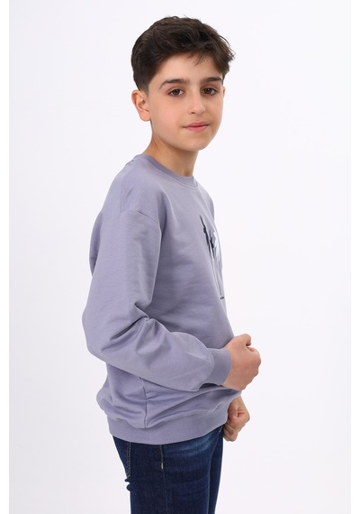 Toontoy Erkek Çocuk Baskılı Sweatshirt Koyu Gri
