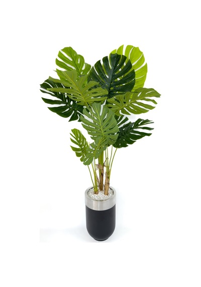 Yapay Monstera Ağacı Deve Tabani 170 Cm Si Yah Gümüş Darbuka Saksıda Siyah Gumus
