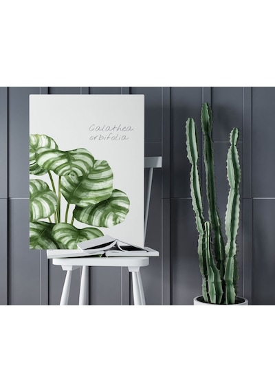 Bk Home Green Plant Tasarımlı Kanvas Tablo 50X70Cm-1 (551085146)
