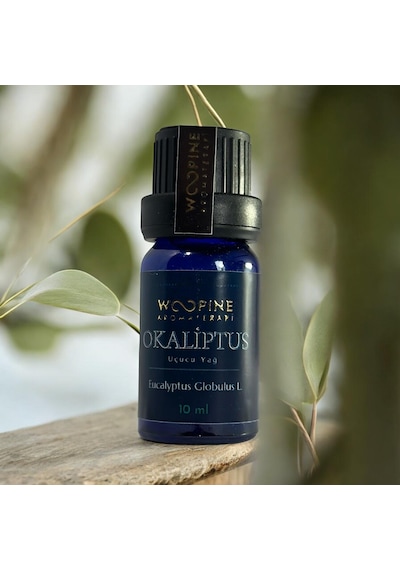 Okaliptus Uçucu Yağı