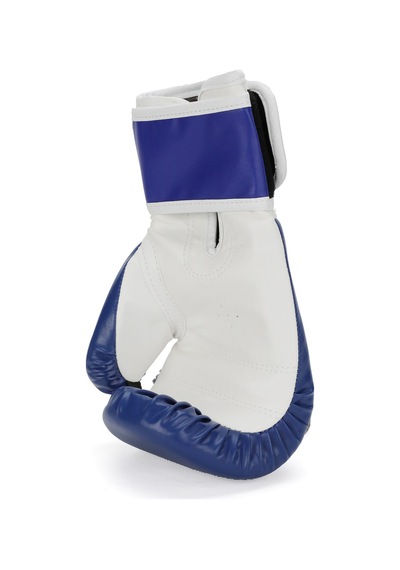 Titan Sport Mavi Boks Eldiveni 12 Oz Mavi
