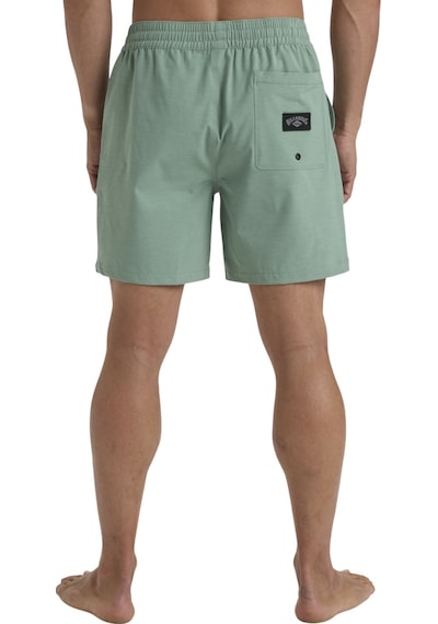Bıllabong Billabong Every Other Day Lb Erkek Volley Short 537 Çok Renkli