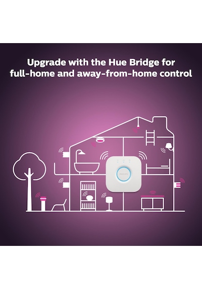 Philips Hue Iris - Copper (Special Edition)