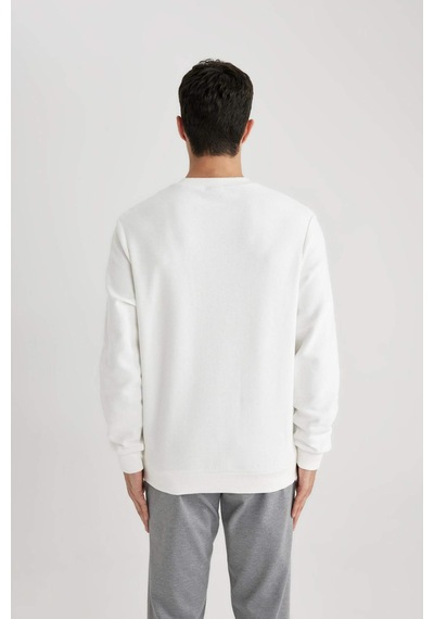 DeFacto Regular Fit Bisiklet Yaka Dokulu Cepli Sweatshirt B6497AX24SPWT32