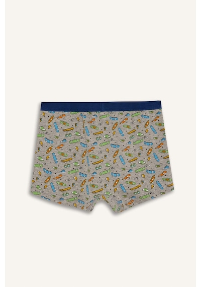 Defacto Kaykay Baskılı Penye 3lü Boxer Erkek Çocuk H1636a826smın176 İndigo-ın176