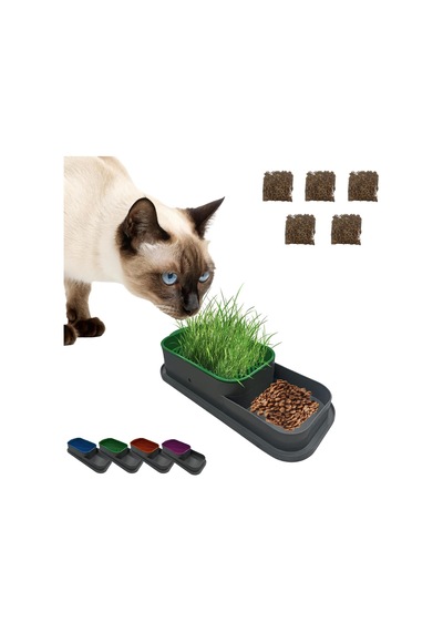 Topraksız Kedi Çimi Kabı Mavi 5 Paket Çim Tohumlu Hidroponik Çim Yetiştirme Seti Kediler İçin Doğal Çim Yetiştirme Kutusu Evde Kolay Çimlendirme Ve Sindirim Desteği