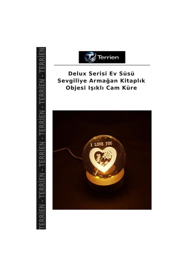 Delux Serisi Ev Süsü Sevgiliye Armağan Kitaplık Objesi Işıklı Cam Küre