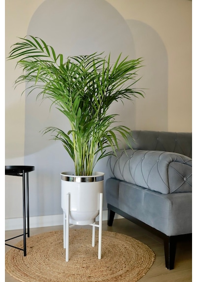 Metal Saksı Ayaklı Çiçeklik Dekoratif Beyaz Saksı Gümüş Detay Vazo Saksılık 50x30cm