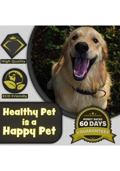 Köpekler Ve Kediler İçin Bambu Diş Fırçası Seti - Yumuşak Kıllar Ve Biyobozunur Ahşap Diş Fırçası, Köpek Malzemeleri, Köpek Fırça Seti, Evcil Hayvan Malzemeleri Köpek Bakım Seti Çevre Dostu 3'lü Paket