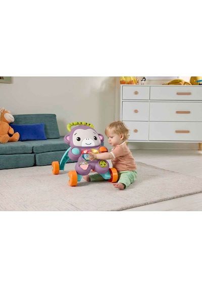 Fisher-price Benimle Öğren Mor Maymun Yürüteç Jgw94