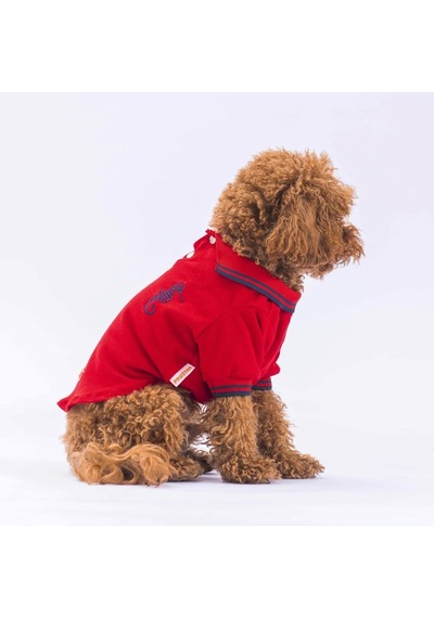 Pawstar Kırmızı Marine Polo Yaka Kedi Köpek Tişörtü Pawstar Kırmızı Marine Polo Yaka Kedi Köpek Tişörtü