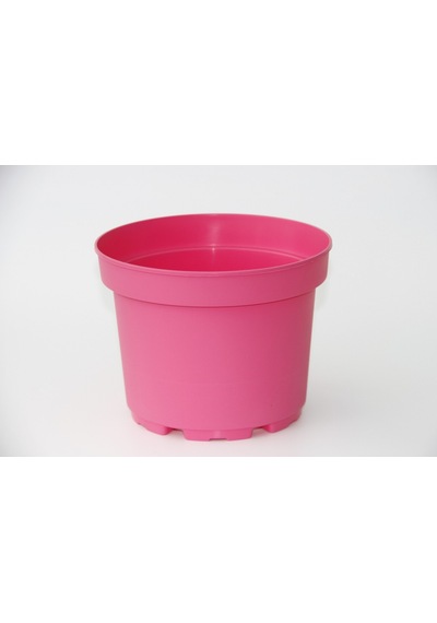 Pembe Saksı 20 Adet