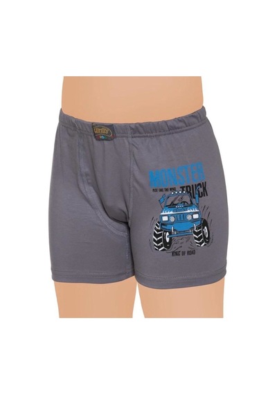 Gümüş 12'li Erkek Çocuk Boxer Karışık Renk Desen-3110 Çok Renkli