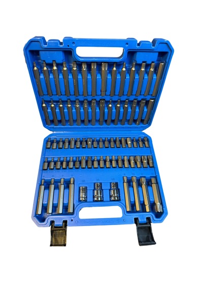 75 Parçalı Altıgen Erik Çiçeği Torx / Spline / Allen Bijon Ve Bit Uç Seti