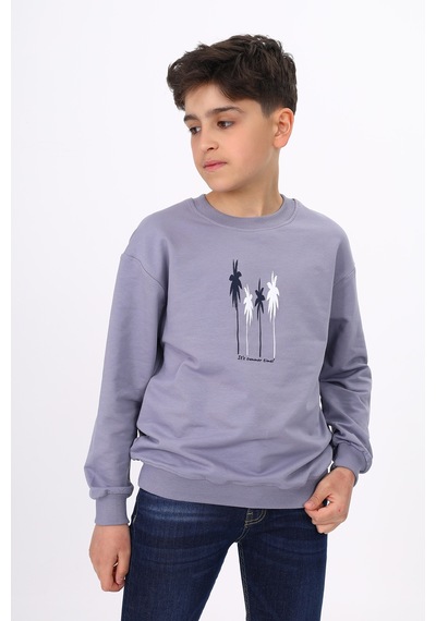Toontoy Erkek Çocuk Baskılı Sweatshirt Koyu Gri