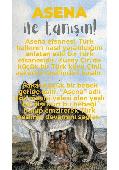 Petjoo 25.Asena Gri-Sarı Qr'lı Köpek Künyesi