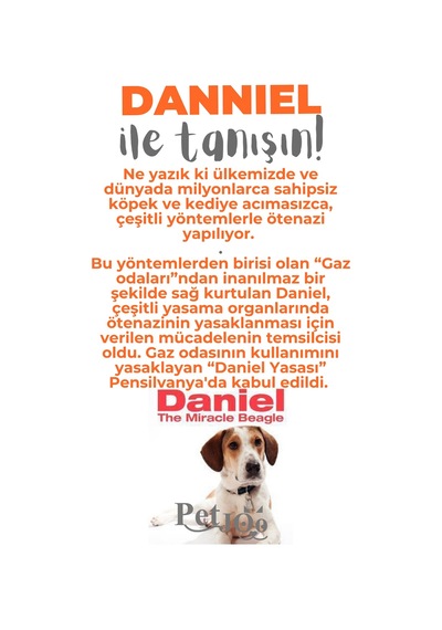 Petjoo 21.Danniel Gri-Turuncu Qr'lı Köpek Künyesi