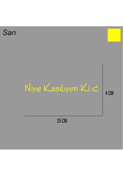 Niye Kasılıyon Ki Sticker Arka Cam Söz Sticker Etiket 25cm Diğer