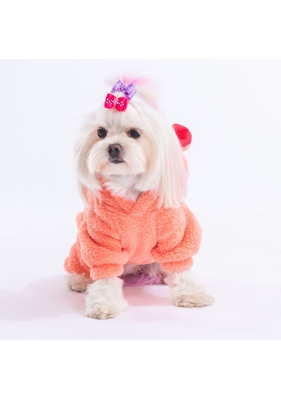 Pawstar Somon Koala Küçük Irk Peluş Köpek Tulumu