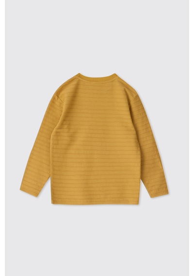 Panço Erkek Çocuk Uzun Kollu Ekru Tişört Krem 2611BK05013