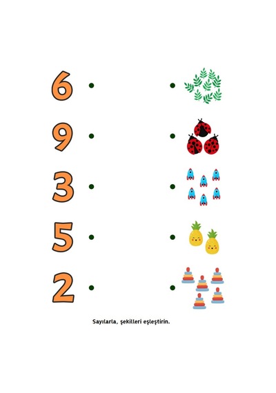 Okul Öncesi Sayılar Matematiğe Giriş Yaz-sil Kitabı